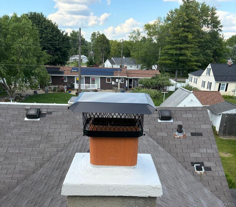 Black mesh chimney cap over a clay flue tile on a new white crown